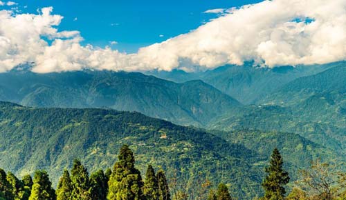 Tour Packages in Darjeeling